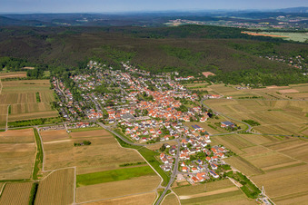 Dorf - Ansicht am Rande von landwirtschaftlichen Feldern und Nutzflächen in Weisenheim am Berg im Bundesland Rheinland-Pfalz, Deutschland