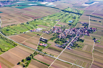 Luftbild von Dackenheim, Golfplatz im Bundesland Rheinland-Pfalz, Deutschland
