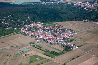 Dorfansicht au SO in Bobenheim am Berg im Bundesland Rheinland-Pfalz, Deutschland