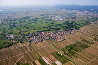 Dorf - Ansicht am Rande von landwirtschaftlichen Feldern und Nutzflächen in Erpolzheim im Bundesland Rheinland-Pfalz, Deutschland