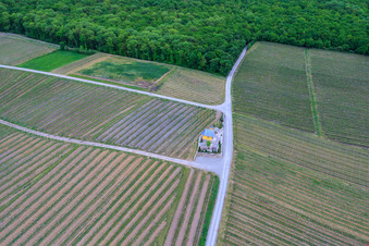 Schrägluftbild von Weinbergskapelle in Bergtheim im Bundesland Bayern, Deutschland
