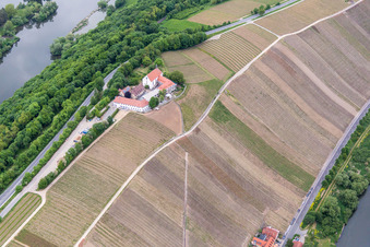 Weinbergs- Landschaft Mainhang an der Vogelsburg und Kirche Mariä Schutz Marker im Ortsteil Escherndorf in Volkach im Bundesland Bayern, Deutschland