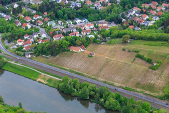 Weinberge der Mainleite am Mainufer in Schweinfurt im Bundesland Bayern, Deutschland