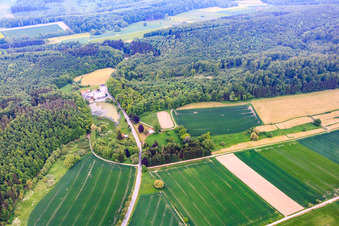 Hünnicher Mühle Kyrill Seebaum im Ortsteil Meiborssen in Vahlbruch im Bundesland Niedersachsen, Deutschland