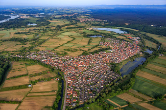 Dorfansicht aus Osten in Neuburg am Rhein im Bundesland Rheinland-Pfalz, Deutschland