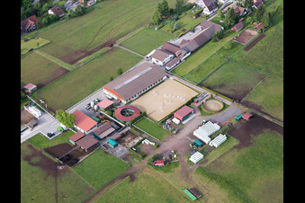 Gestüt Dobel in Dobel im Bundesland Baden-Württemberg, Deutschland