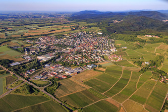Stadtansicht aus Nordwesten in Bad Bergzabern im Bundesland Rheinland-Pfalz, Deutschland