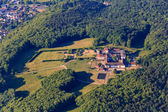 Schrägluftbild von Pferdepension auf dem Kloster Liebfrauenberg in Bad Bergzabern im Bundesland Rheinland-Pfalz, Deutschland