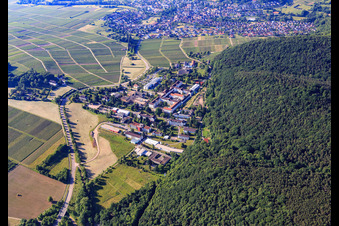Pfalzklinikum für Psychiatrie und Neurologie aus Norden in Klingenmünster im Bundesland Rheinland-Pfalz, Deutschland