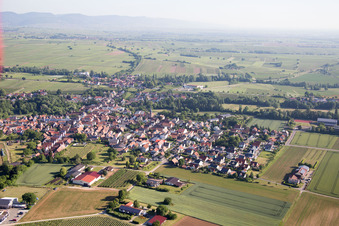 Ortsteil Ingenheim in Billigheim-Ingenheim im Bundesland Rheinland-Pfalz, Deutschland aus der Drohnenperspektive