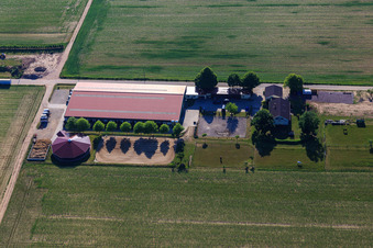 Reitsportanlage Fohlenhof in Steinweiler im Bundesland Rheinland-Pfalz, Deutschland