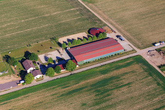 Luftaufnahme von Reitsportanlage Fohlenhof in Steinweiler im Bundesland Rheinland-Pfalz, Deutschland