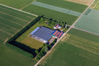 Luftaufnahme von Sudetenhof in Steinweiler im Bundesland Rheinland-Pfalz, Deutschland