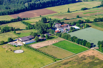 Luftaufnahme von Palatino Ranch in Steinweiler im Bundesland Rheinland-Pfalz, Deutschland