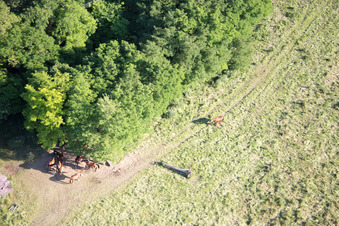 Neewiller-près-Lauterbourg im Bundesland Bas-Rhin, Frankreich aus der Luft betrachtet