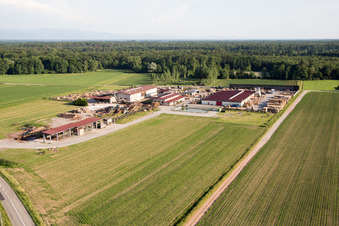 Niederrœdern im Bundesland Bas-Rhin, Frankreich aus der Luft