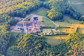 Pferdepension auf dem Kloster Liebfrauenberg in Bad Bergzabern im Bundesland Rheinland-Pfalz, Deutschland vom Flugzeug aus