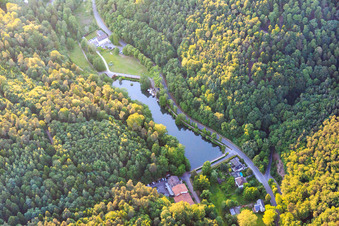 Schwanenweiher an der Kurtalstraße(B427) in Bad Bergzabern im Bundesland Rheinland-Pfalz, Deutschland
