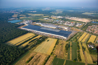 Luftbild von Goodyear Dunlop Tyres Germany in Philippsburg im Bundesland Baden-Württemberg, Deutschland