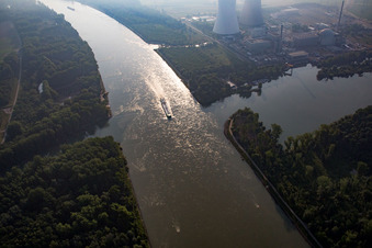 Altrhein im Ortsteil Mechtersheim in Römerberg im Bundesland Rheinland-Pfalz, Deutschland