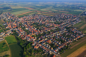 Rheinfeldstr im Ortsteil Mechtersheim in Römerberg im Bundesland Rheinland-Pfalz, Deutschland