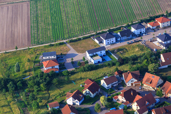 Im Pfarrgarten in Zeiskam im Bundesland Rheinland-Pfalz, Deutschland