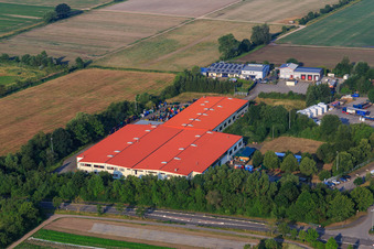 Bührmann Weine GmbH in Zeiskam im Bundesland Rheinland-Pfalz, Deutschland