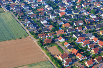 Maxstr in Ottersheim bei Landau im Bundesland Rheinland-Pfalz, Deutschland