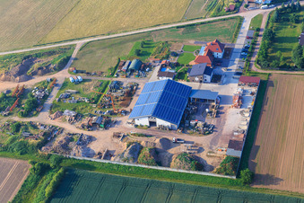 Ottersheimer Queichtalbären in Ottersheim bei Landau im Bundesland Rheinland-Pfalz, Deutschland