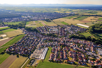 Neupotzer Straße in Kuhardt im Bundesland Rheinland-Pfalz, Deutschland