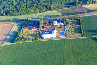Fussballgolfpark Südpfalz im Adamshof Kandel im Bundesland Rheinland-Pfalz, Deutschland