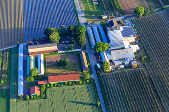 Zapf Hofmarkt in Kandel im Bundesland Rheinland-Pfalz, Deutschland