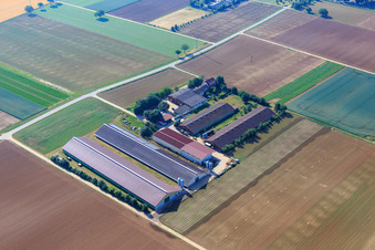 Wilfried Günther Putenmästerei in Zeiskam im Bundesland Rheinland-Pfalz, Deutschland