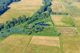 Biotop in den Queichwiesen im Ortsteil Niederhochstadt in Hochstadt im Bundesland Rheinland-Pfalz, Deutschland
