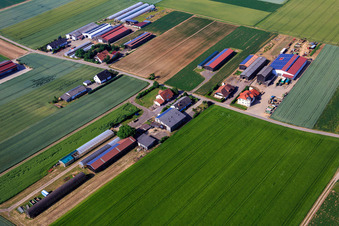 Aussiedlerhöfe am Wingertsberg von  Kerner Andreas und Detzel GbR - Lagerhalle in Herxheim bei Landau im Bundesland Rheinland-Pfalz, Deutschland