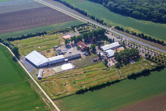 Luftaufnahme von Fussballgolfpark Südpfalz im Adamshof Kandel im Bundesland Rheinland-Pfalz, Deutschland