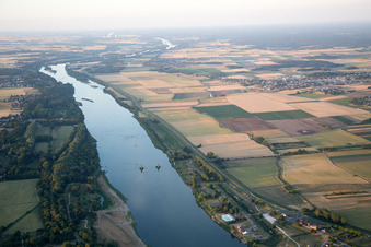 Loire bei Vineuil/Loire (F-Centre) im Bundesland Loir-et-Cher, Frankreich