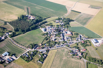 Rhodon im Bundesland Loir-et-Cher, Frankreich