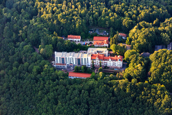 Fachklinik Eußerthal im Wald im Bundesland Rheinland-Pfalz, Deutschland von oben