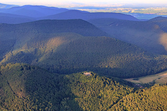 Burgruine Meistersel (eingerüstet) in Ramberg im Bundesland Rheinland-Pfalz, Deutschland