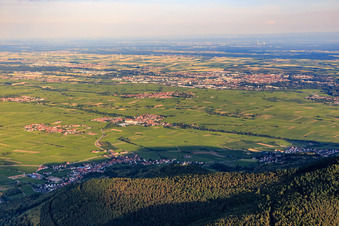 Weinanbaugebiete zwischen Landau und Flemlingen aus Westen in Burrweiler im Bundesland Rheinland-Pfalz, Deutschland