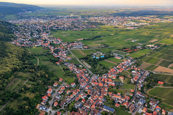 Winzerdorf am Haardtrand aus Südwesten im Ortsteil Hambach an der Weinstraße in Neustadt an der Weinstraße im Bundesland Rheinland-Pfalz, Deutschland