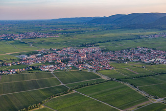 Maikammer von Norden im Bundesland Rheinland-Pfalz, Deutschland
