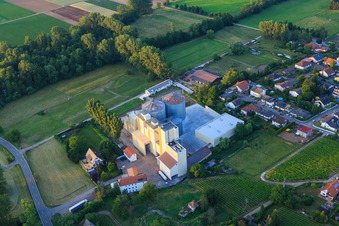 Schrägluftbild von Silos der Getreidemühle Cornexo GmbH in Freimersheim im Bundesland Rheinland-Pfalz, Deutschland