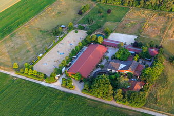 Friedrich Roth Tierarzt in Freimersheim im Bundesland Rheinland-Pfalz, Deutschland