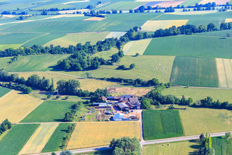 Holzwerk ORTH Gerd Sütterlin e.K im Ortsteil Schaidt in Wörth am Rhein im Bundesland Rheinland-Pfalz, Deutschland