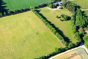 Koppel von Trakehner-Friedrich in Minfeld im Bundesland Rheinland-Pfalz, Deutschland von der Drohne aus gesehen