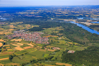 Dorfansicht in den Rheinauen von Nordosten in Au am Rhein im Bundesland Baden-Württemberg, Deutschland