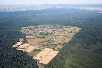 Ortsteil Büchelberg in Wörth am Rhein im Bundesland Rheinland-Pfalz, Deutschland aus der Luft