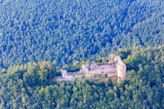Burgruine Neuscharfeneck in Flemlingen im Bundesland Rheinland-Pfalz, Deutschland